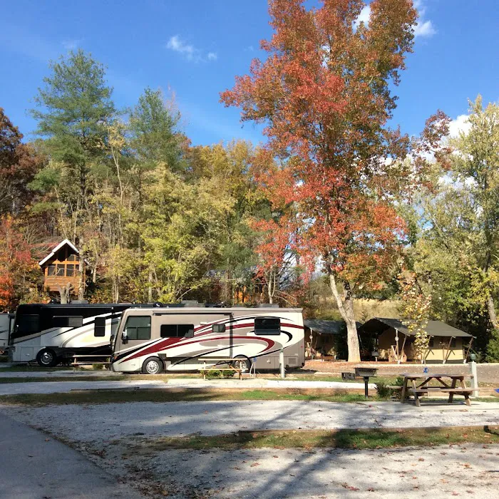 Camp LeConte Luxury Outdoor Resort 5