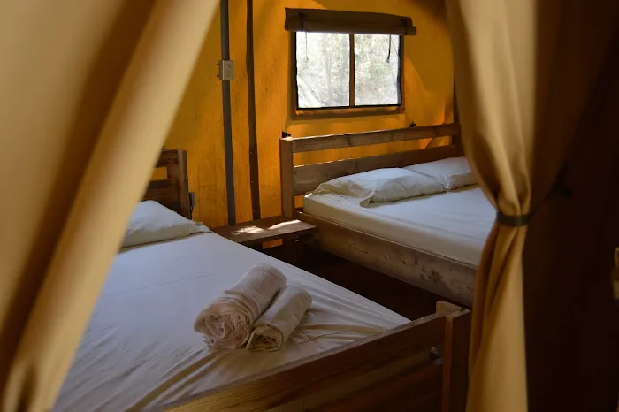 Camp LeConte Luxury Outdoor Resort 7