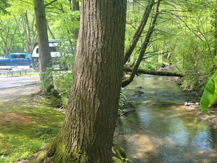 Twin Creek RV Resort 9