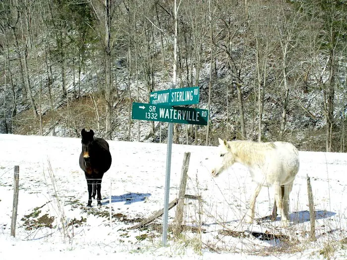 Little Big Creek Horse Camp 5