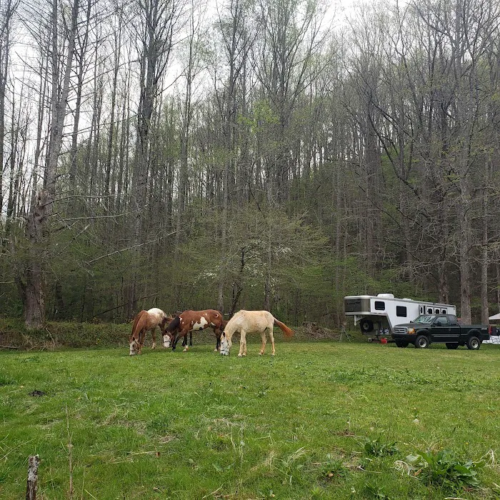 Little Big Creek Horse Camp 8