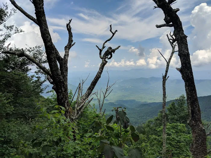 Sunup Knob 5