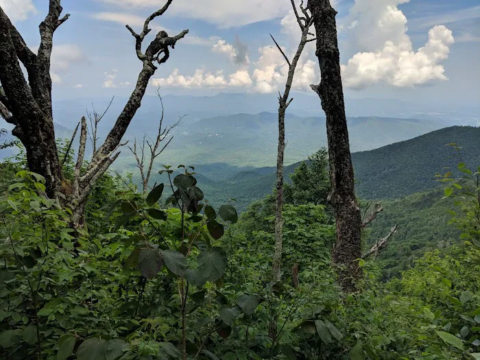 Sunup Knob 7