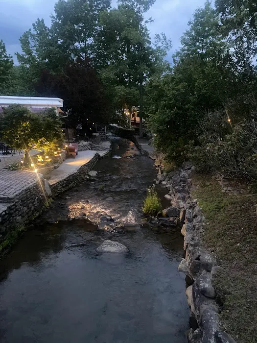 Outdoor Resorts At Gatlinburg 5