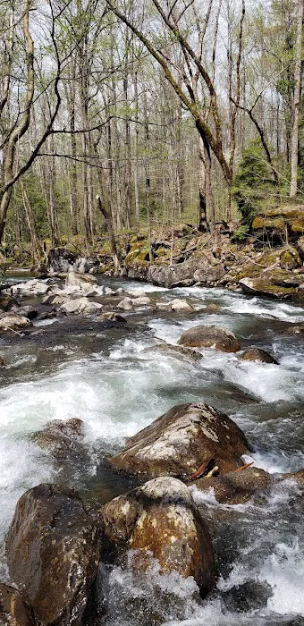 Outdoor Resorts At Gatlinburg 8