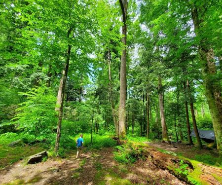 Backcountry Campsite #34