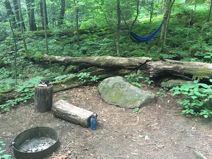 Backcountry Campsite #34 4