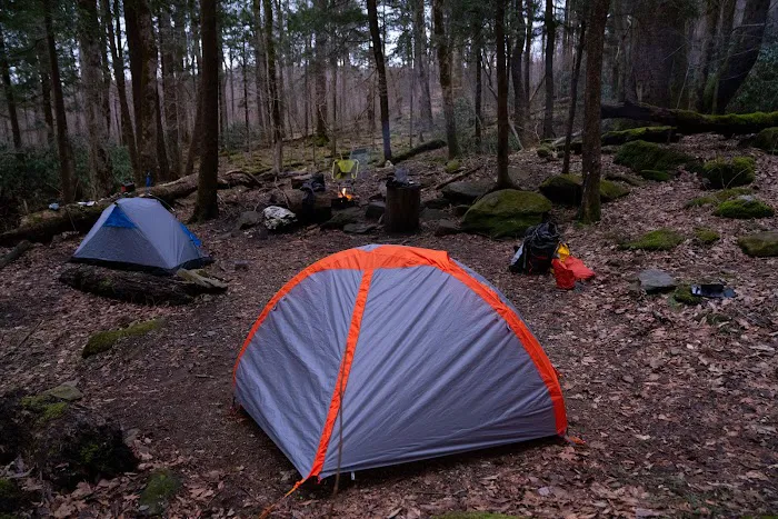Backcountry Campsite #34 5