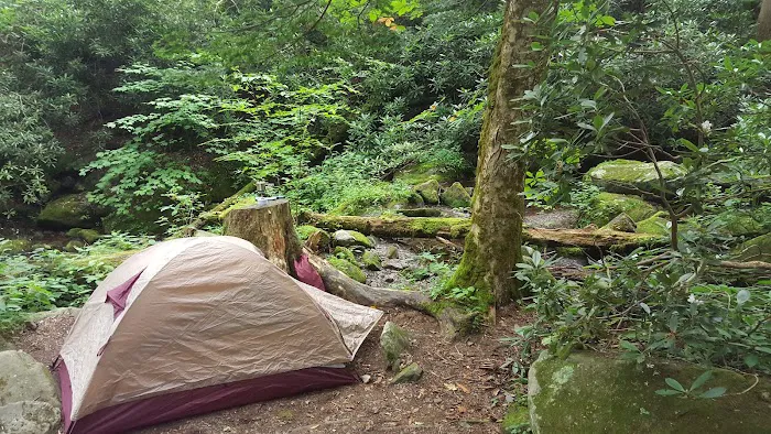 Backcountry Campsite #34 9