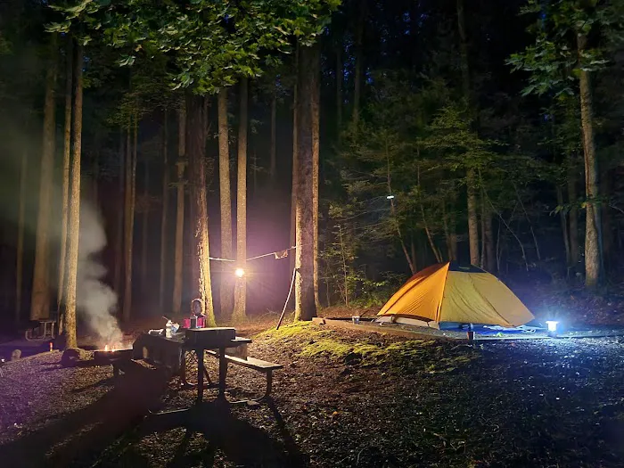 Cosby Campground 2