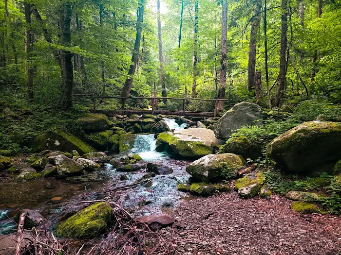 Cosby Campground 3
