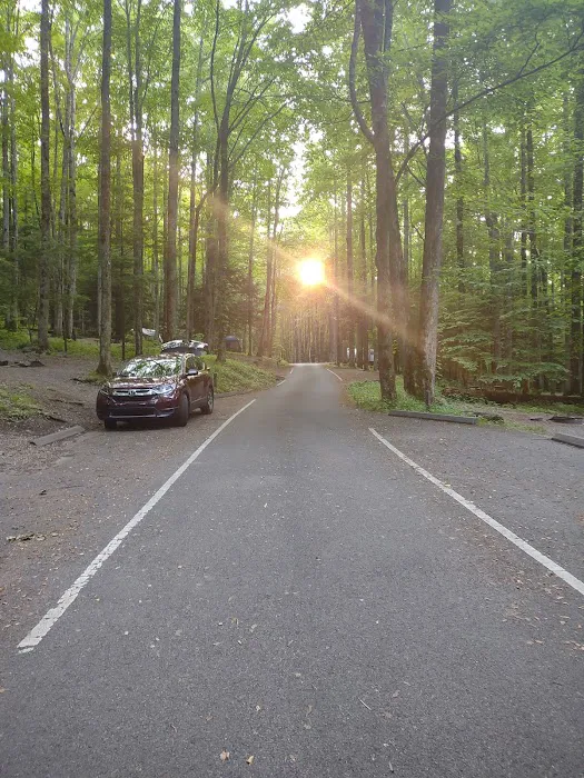 Cosby Campground 5