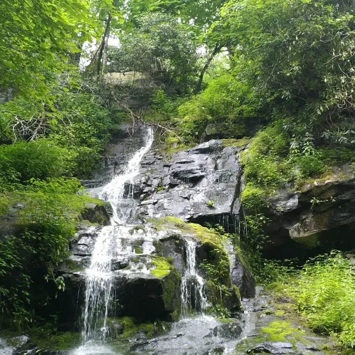 Cosby Campground 4