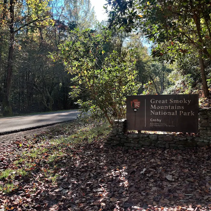 Cosby Campground 8