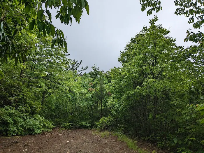 Cosby Campground 9
