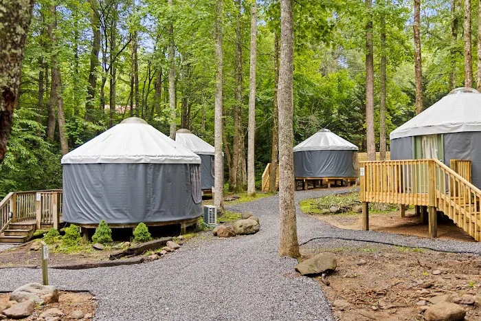 Roamstead Smoky Mountains Campground 5