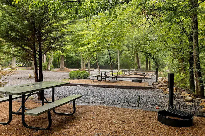 Roamstead Smoky Mountains Campground 7