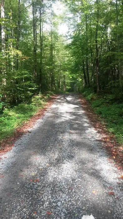 Big Rig Campground 1