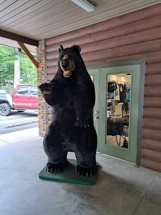 Gatlinburg East / Smoky Mountain KOA Holiday 10