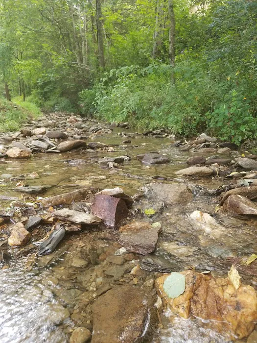 Cosby Run CAMPGROUND/ RV PARK 2