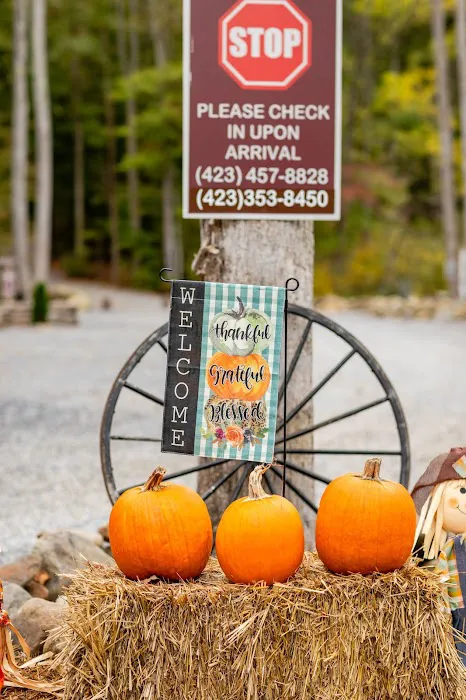Hidden Stills RV Campground - Smoky Mountains Tennessee 9