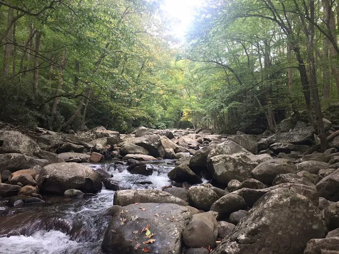 Birds Creek Campground, Tennessee 3