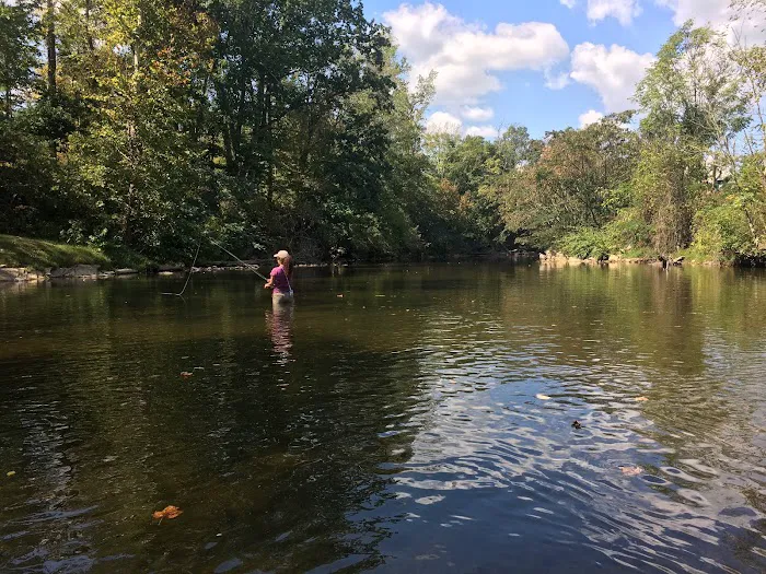 Birds Creek Campground, Tennessee 6
