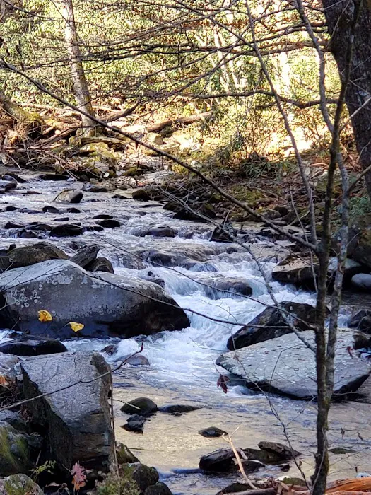 Alpine Hideaway Campground 4