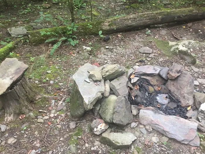 Backcountry Campsite #35 3