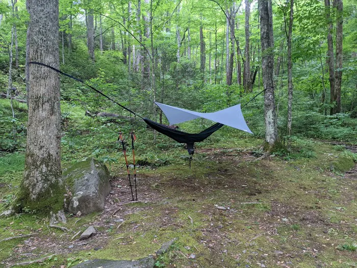 Backcountry Campsite #35 1