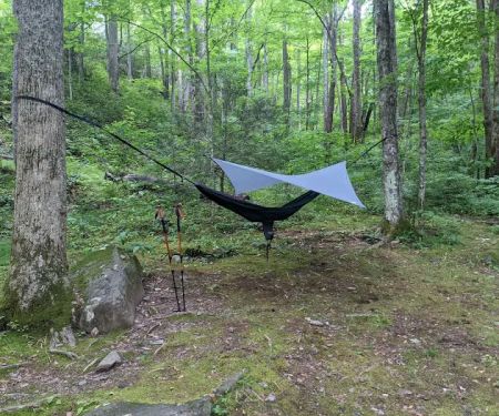 Backcountry Campsite #35