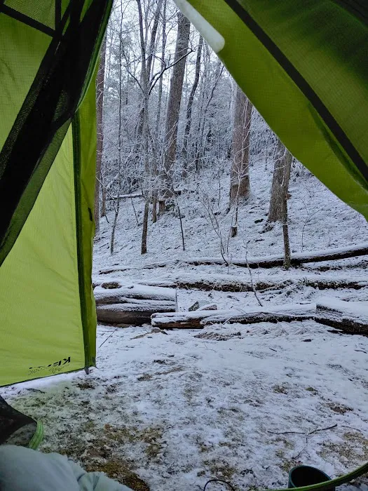 Backcountry Campsite #35 5