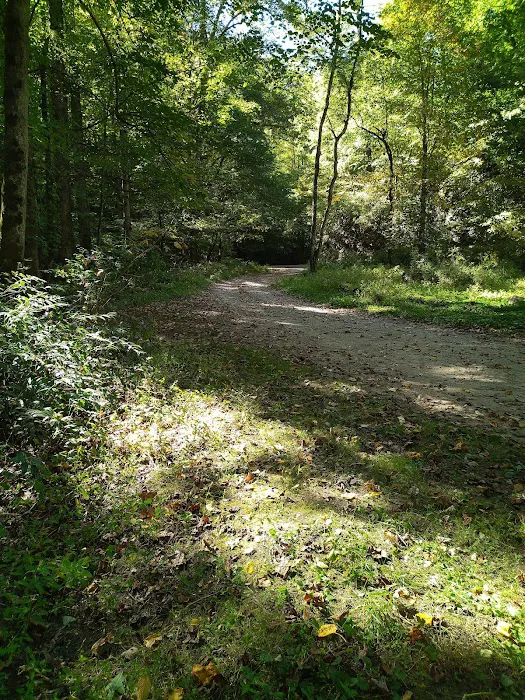 Harmon Den Horse Camp NC 3