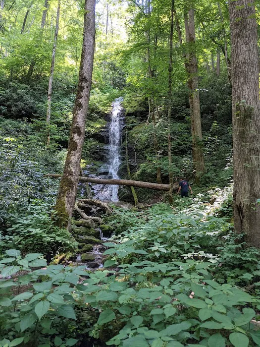 Harmon Den Horse Camp NC 1