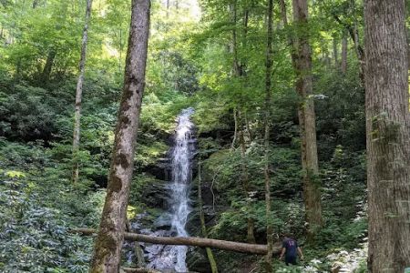 Harmon Den Horse Camp NC