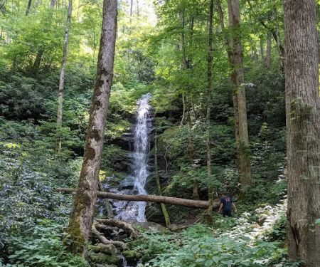 Harmon Den Horse Camp NC