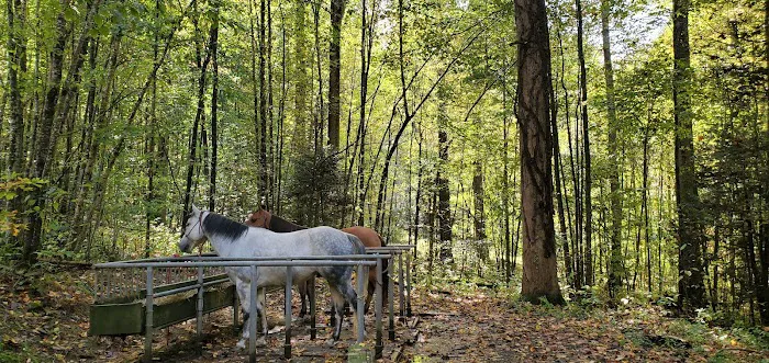 Harmon Den Horse Camp NC 4