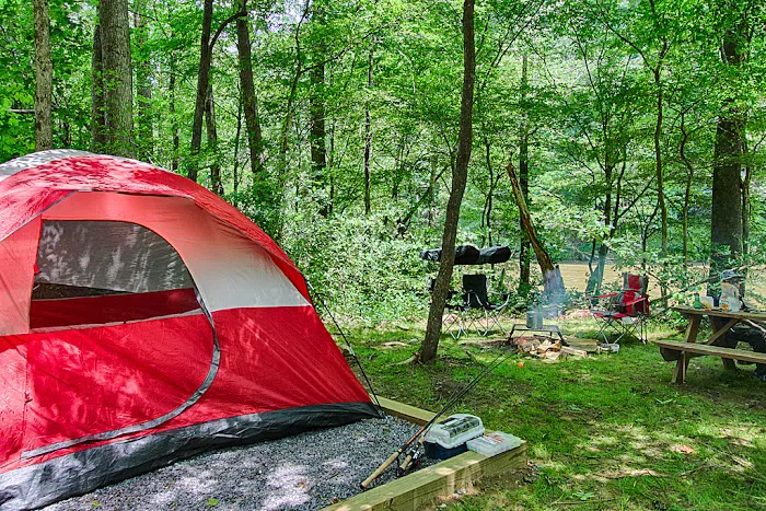 Pigeon River Campground 6