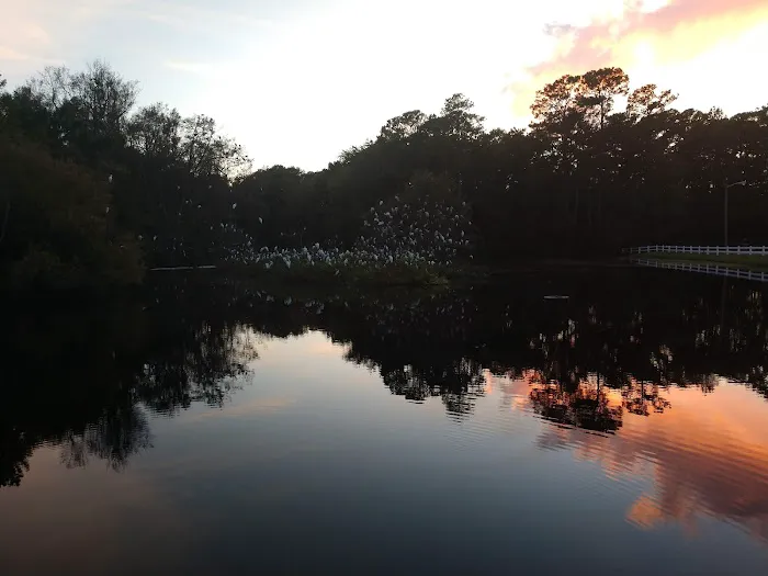 Myrtle Beach RV Resort 7