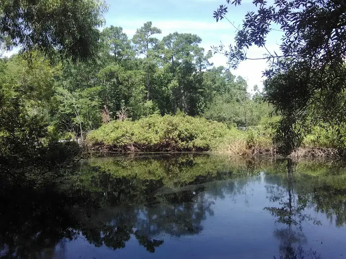 Myrtle Beach RV Resort 9