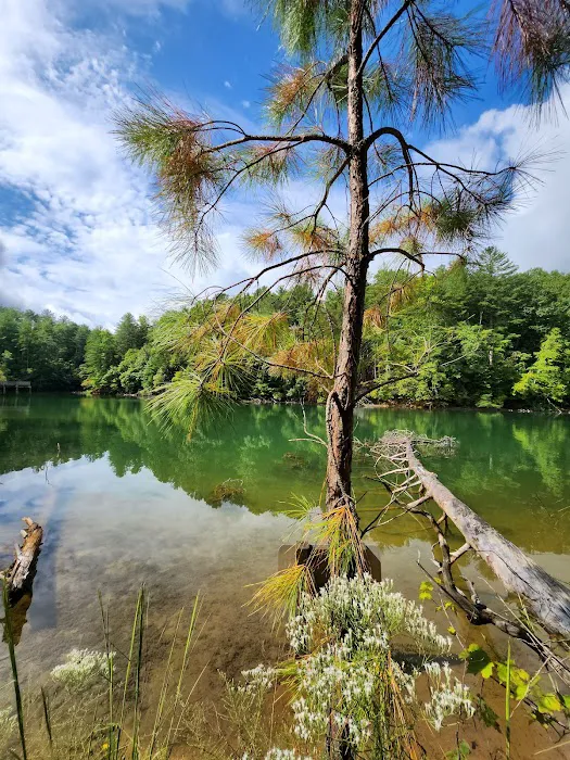 Lake James State Park Catawba River Access 4