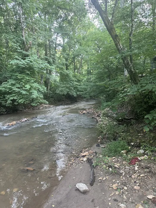 Lake James State Park Catawba River Access 5
