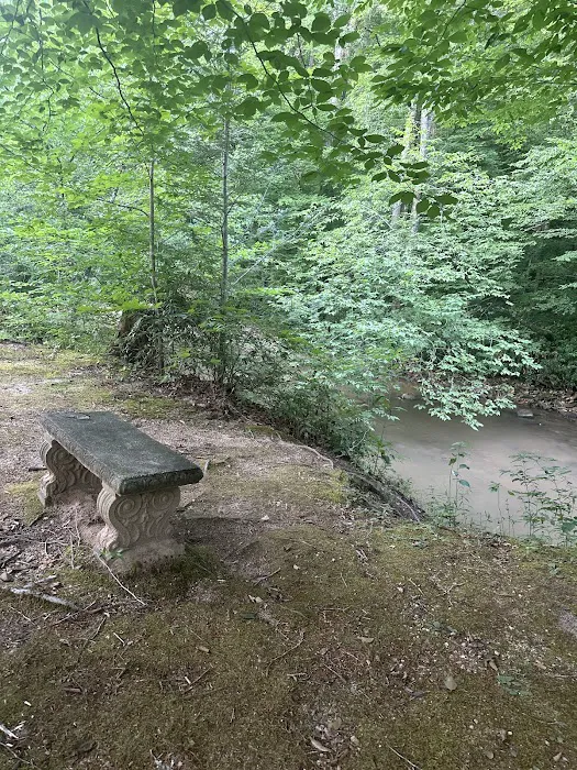 Lake James State Park Catawba River Access 10