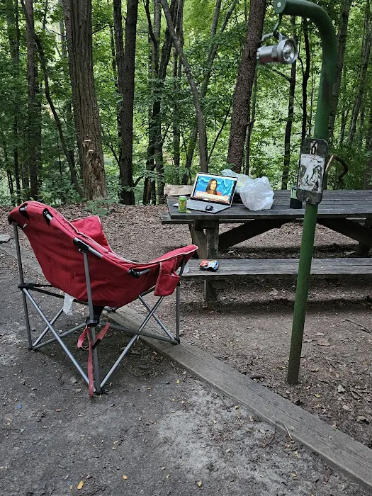 Catawba Area Walk-In Campground 3