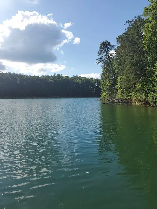 Catawba Area Walk-In Campground 7