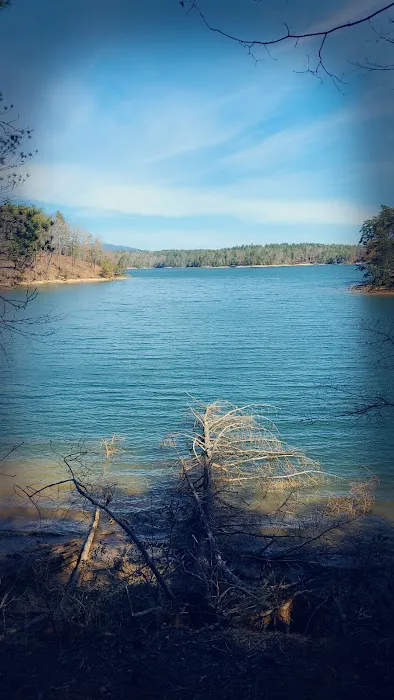 Catawba Area Walk-In Campground 4