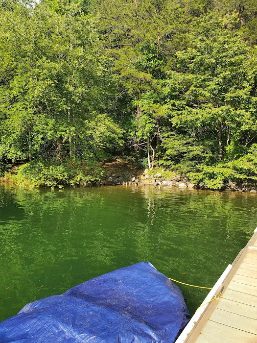 Catawba Area Walk-In Campground 8