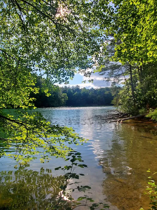Catawba Area Walk-In Campground 10