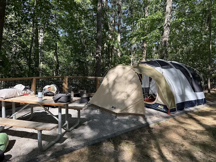 Black Bear Campground and Park 1