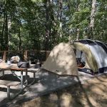 Black Bear Campground and Park